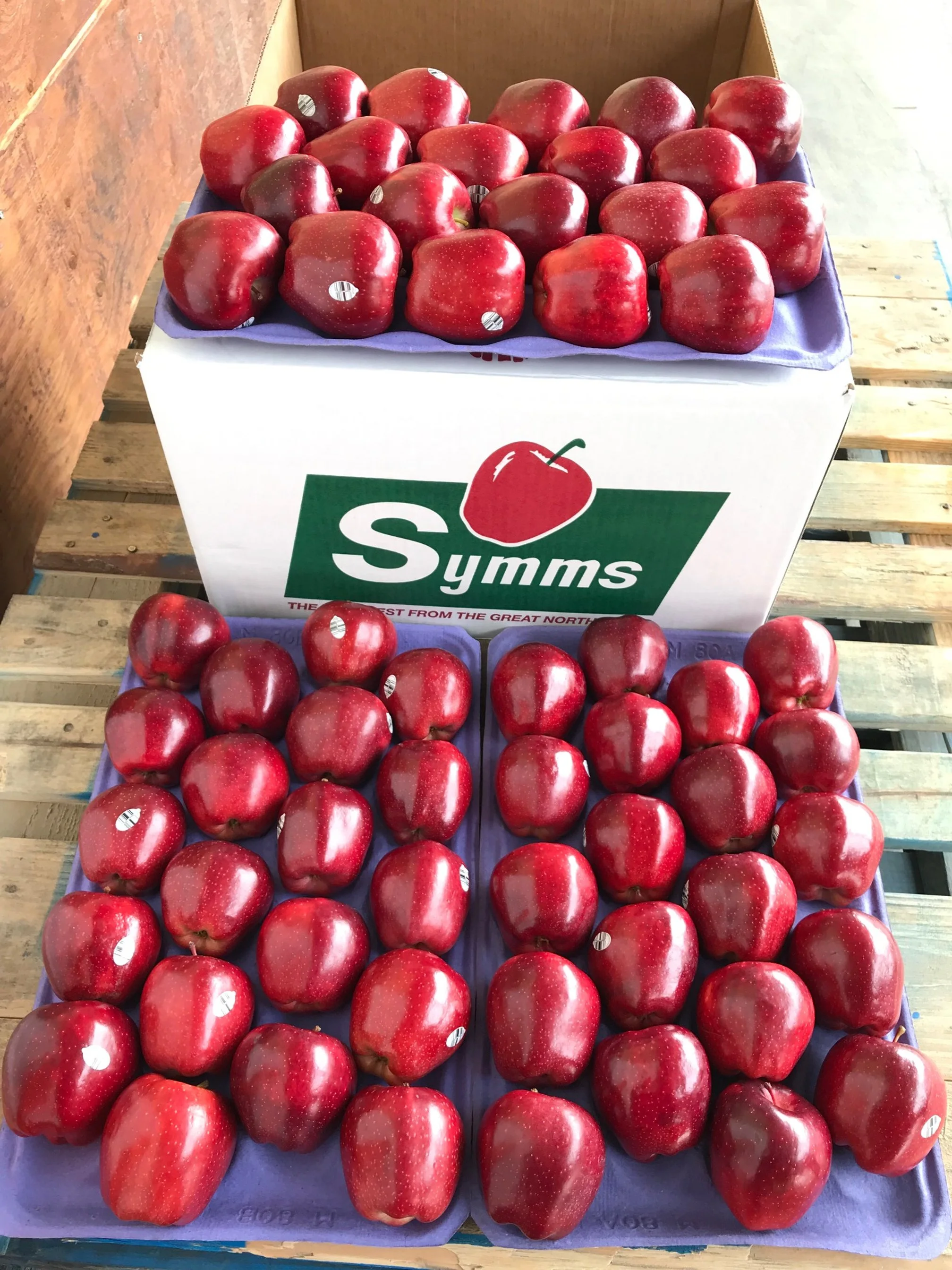 Gift Boxes — Symms Fruit Ranch